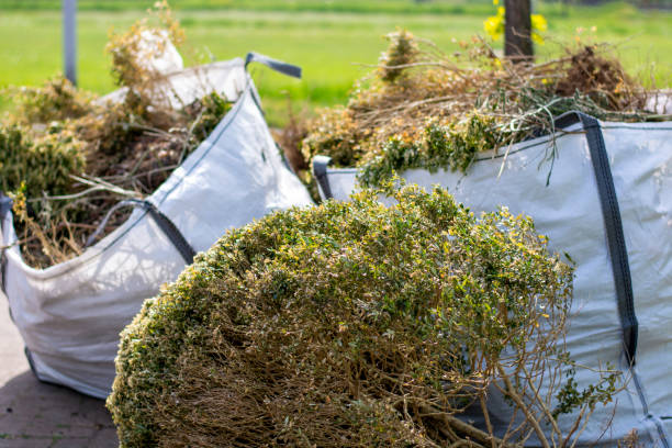 Best Household Junk Removal  in Ridgemark, CA