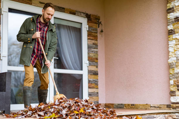 Best Basement Cleanout Services  in Ridgemark, CA
